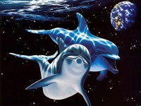 /album/imagini-animale/a52-jpg/