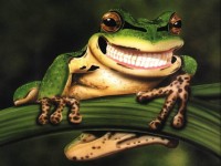 /album/imagini-animale/a53-jpg/