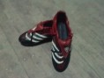 Adidas Predator Absolute